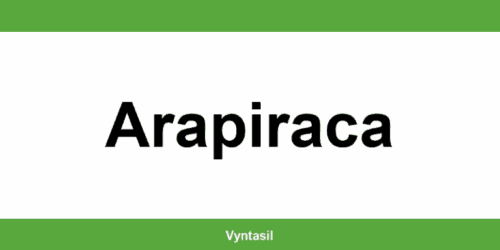 Vagas de emprego no SINE em Arapiraca