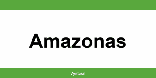Vagas de emprego no SINE em Amazonas